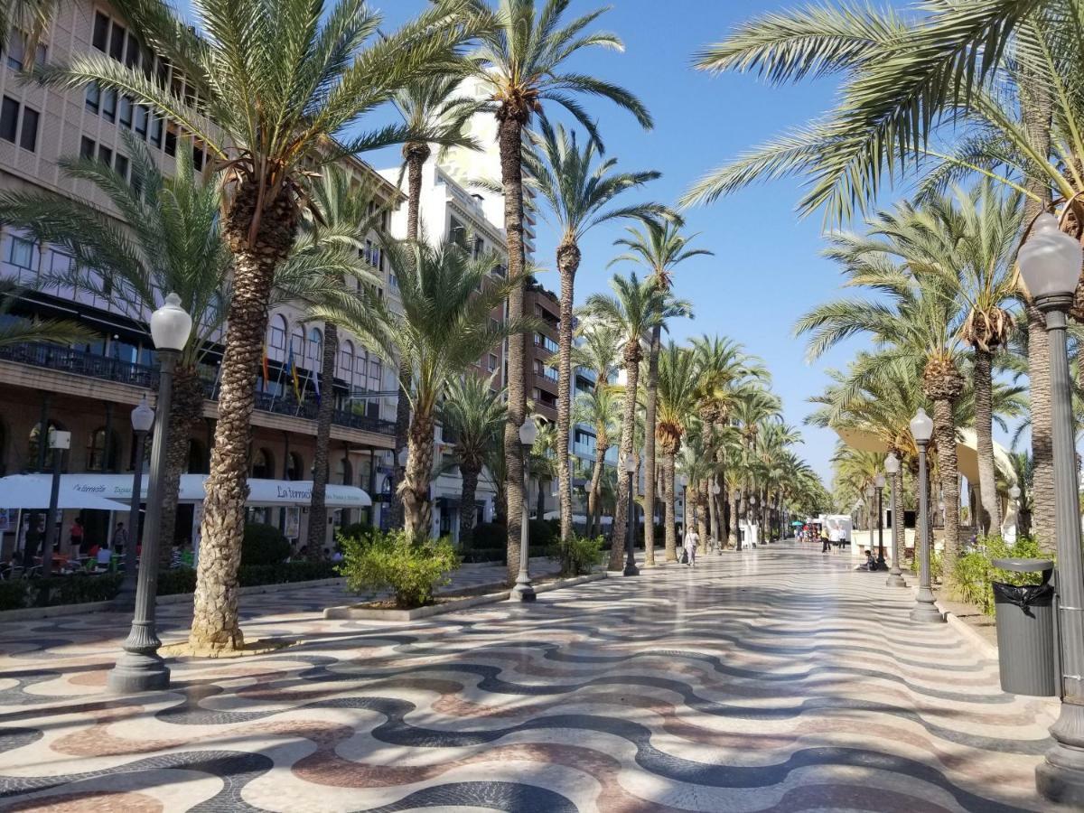 Calle Ingeniero Canales N 14, 2 Izq 03013 アリカンテ エクステリア 写真